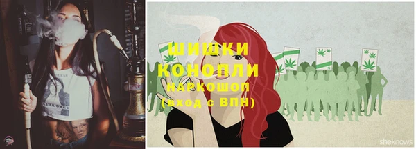 ГАЛЛЮЦИНОГЕННЫЕ ГРИБЫ Касимов