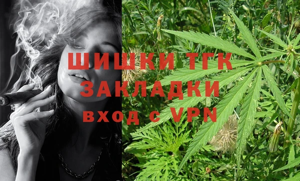 ГАЛЛЮЦИНОГЕННЫЕ ГРИБЫ Касимов