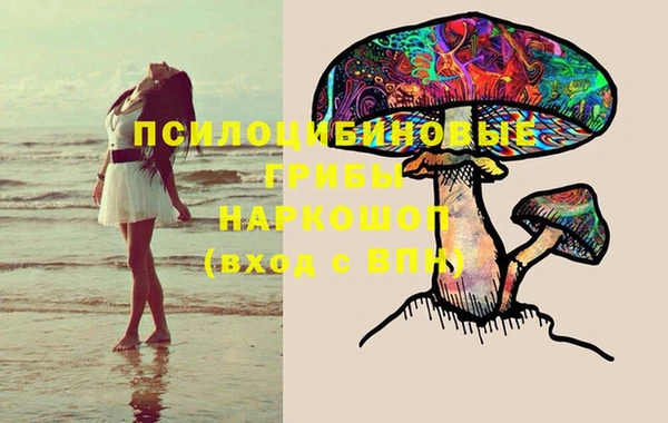 ГАЛЛЮЦИНОГЕННЫЕ ГРИБЫ Касимов