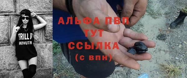 ГАЛЛЮЦИНОГЕННЫЕ ГРИБЫ Касимов
