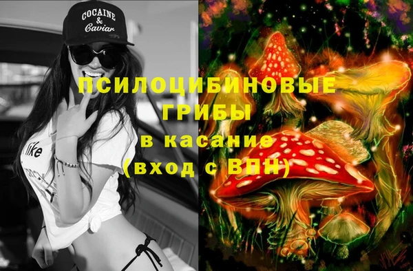 ГАЛЛЮЦИНОГЕННЫЕ ГРИБЫ Касимов