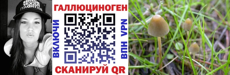 Псилоцибиновые грибы прущие грибы цена Кувшиново